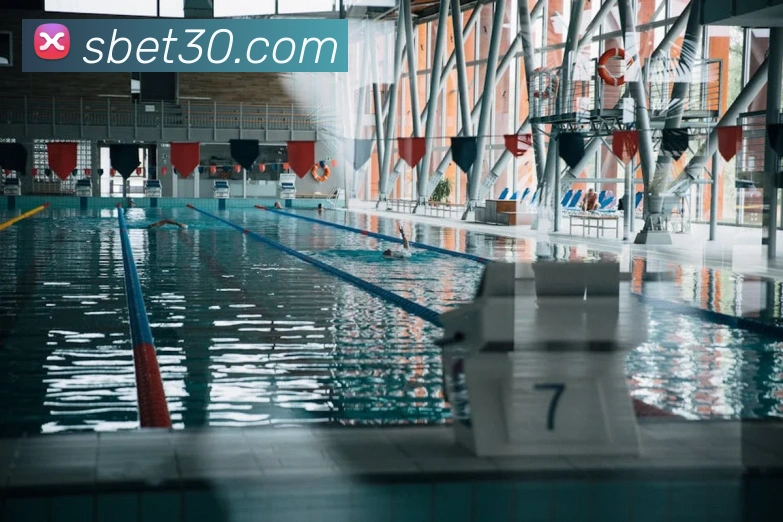 未来规划